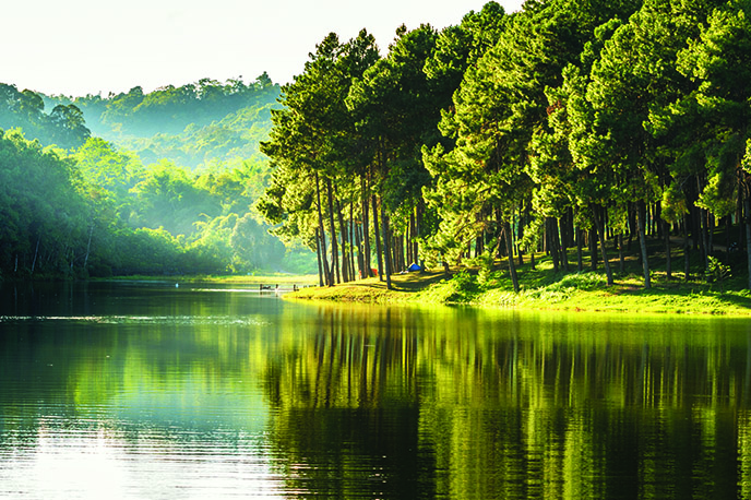 Hopewell Summer Solstice