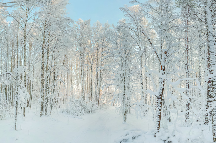 Western Reserve Land Conservancy